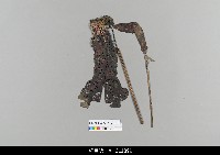 藏品(中國湖北皮影戲偶身)的圖片